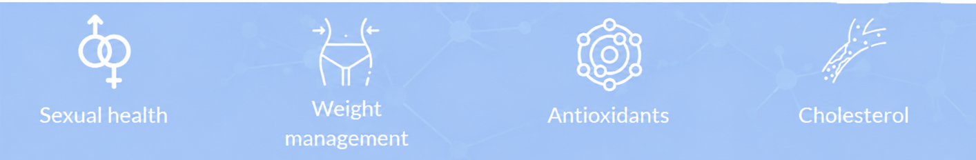 Screenshot 2026-09-01 160230